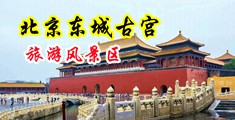 亚洲美女发浪漏逼图片中国北京-东城古宫旅游风景区